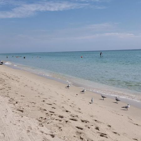 New Luxury Apartment 2Br 2Ba Direct Beach Access Hollywood Zewnętrze zdjęcie